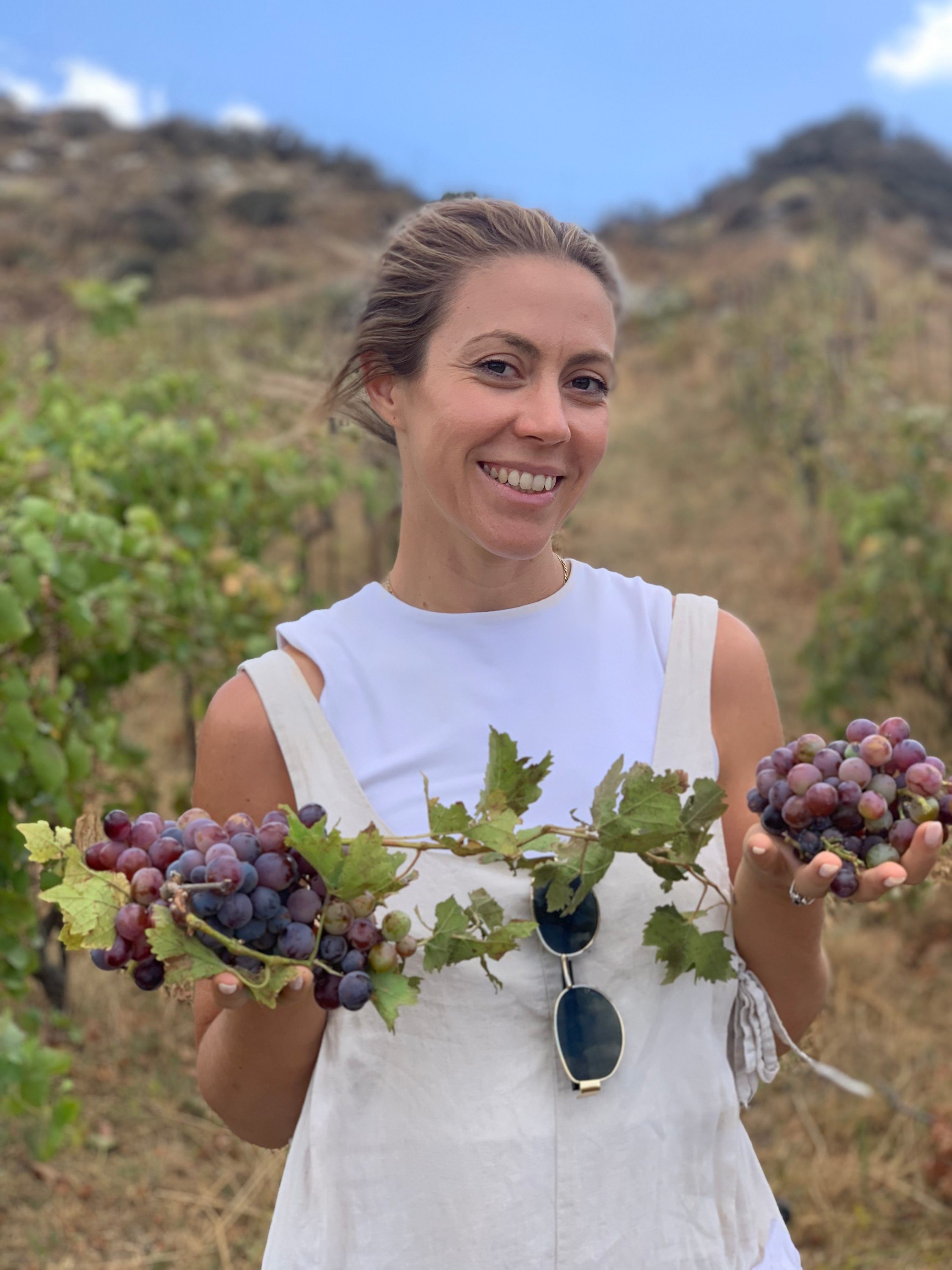 Emma holding bunches of ripe purple grapes just picked at harvest, at the Kairos Wines vineyard in the Kedros mountains