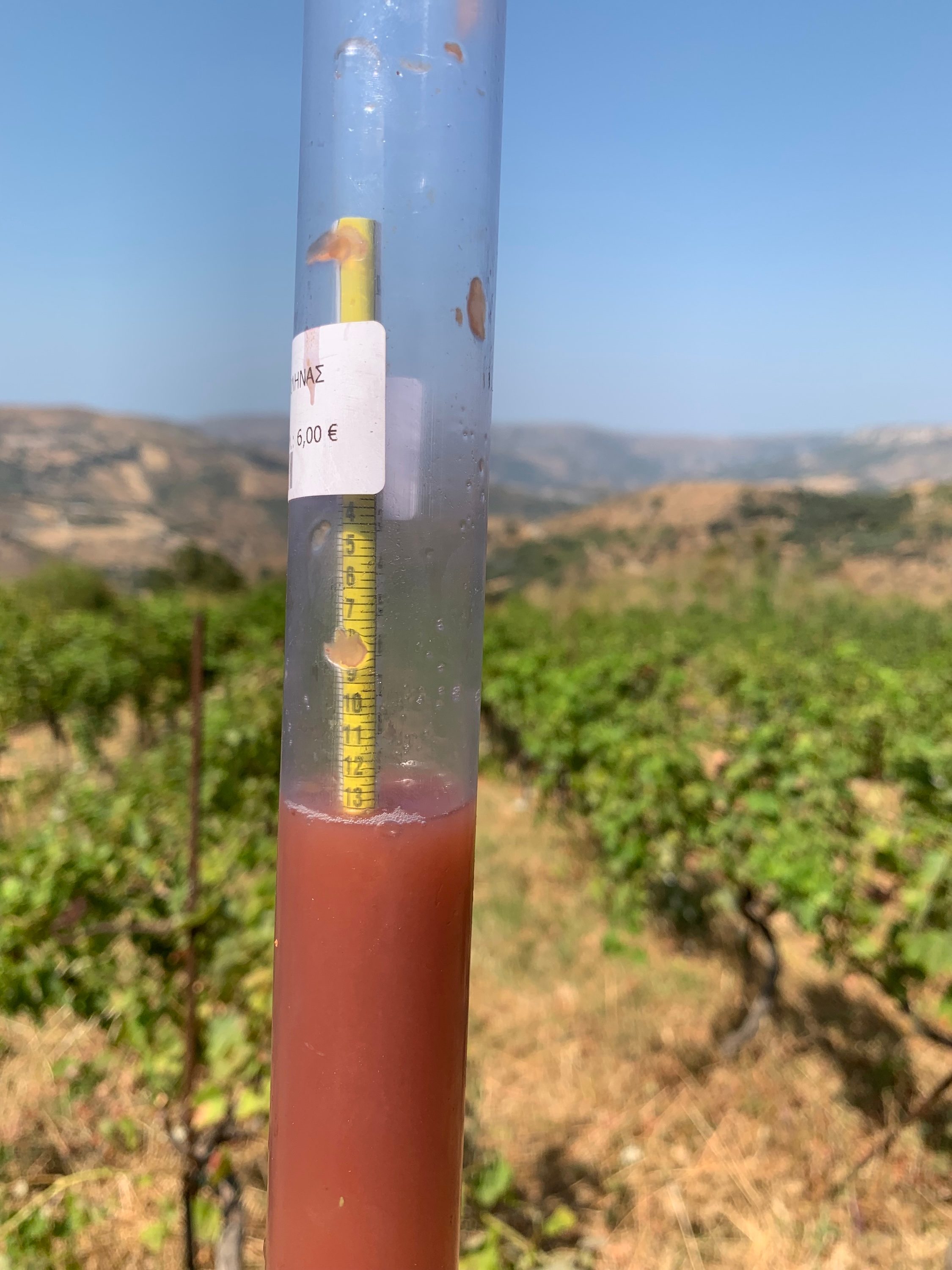 A refractometer showing the sugar level of freshly pressed rosé must, held against the Kairos Wines vineyard and the Cretan mountain range beyond — the moment of deciding harvest timing